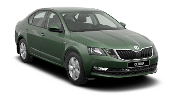 Skoda Octavia Серебристый / Silver